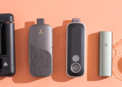 The 5 Best Portable Vapes of 2024